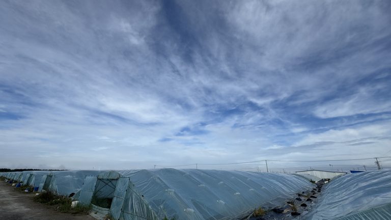蝦價逼近成本線，華南小棚白蝦如何突圍？養殖設備與模式升級是關鍵！